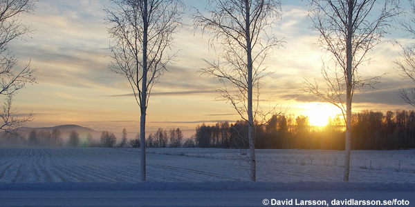 Copyright: David Larsson, foto@davidlarsson.se